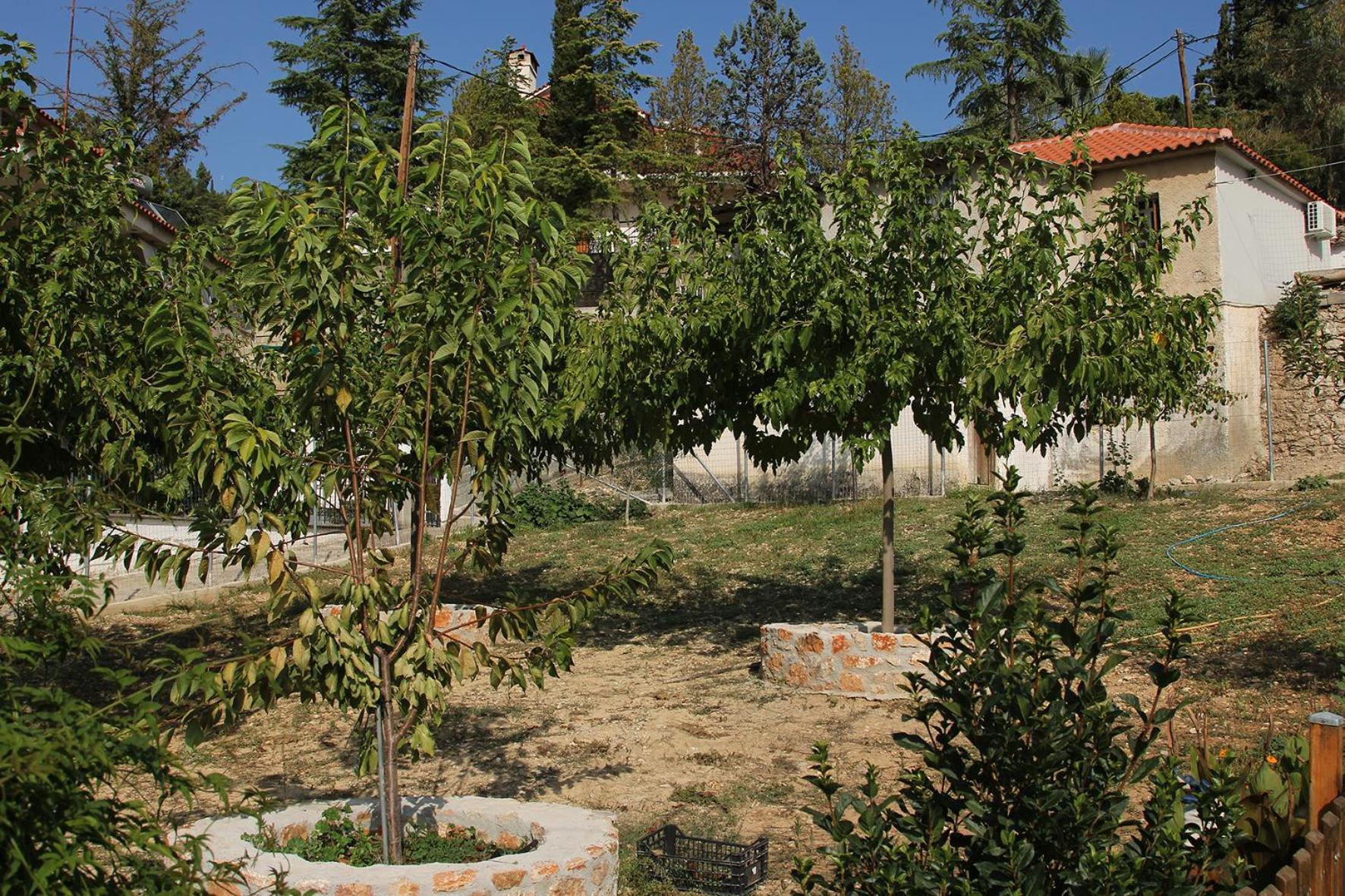 Vagelis Nemea Apartments Exterior foto